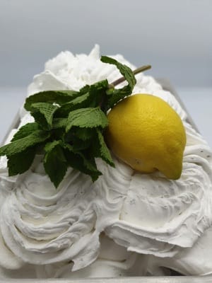 Verse munt met citroen